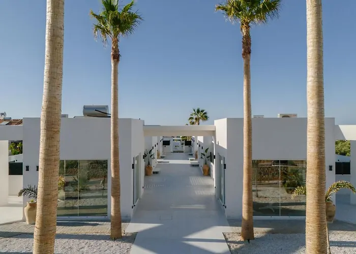 Sardines Luxury * 赫索尼索斯